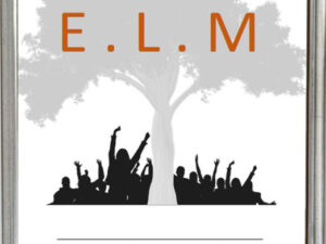 promo-e-l-m-magnet