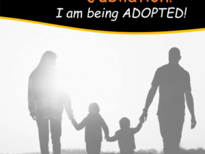 help-i-am-being-fostered-jubilation-i-am-being-adopted-hardback-pdf